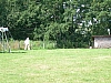 DSCN5592.jpg DSCN5592.jpg